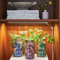 Herb Garden Jar-Modern Sprout-R3vel Threads, Women's Fashion Boutique, Located in Hudsonville, Michigan