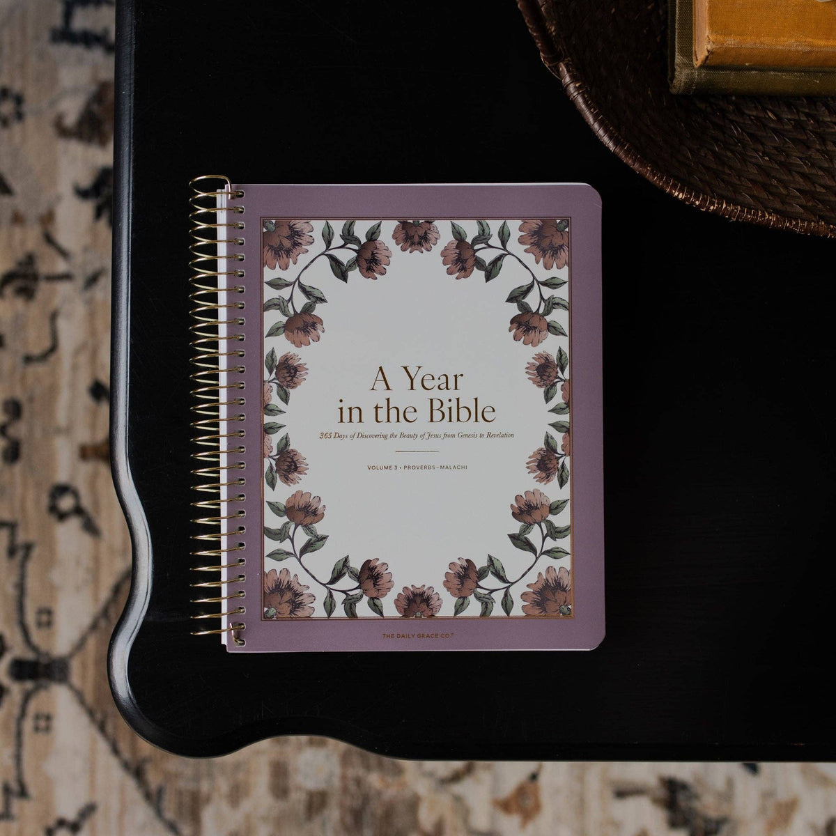 A Year in the Bible | 365 Days of Discovering the Beauty of Jesus from Genesis to Revelation | Volume 3-The Daily Grace Co-R3vel Threads, Women's Fashion Boutique, Located in Hudsonville, Michigan