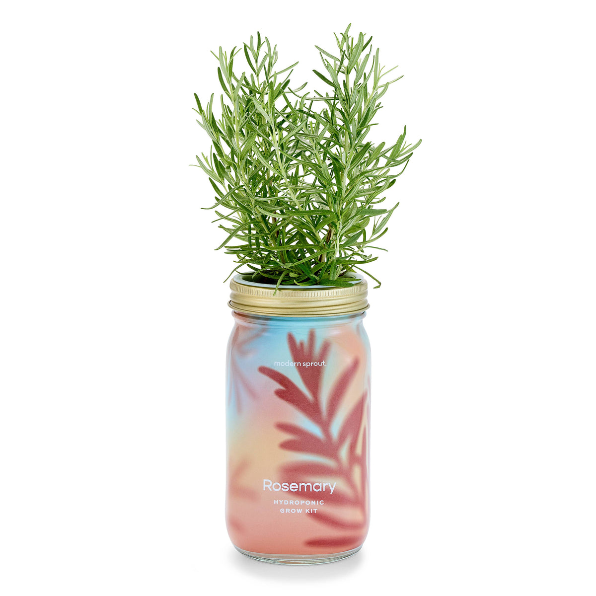 Herb Garden Jar-Modern Sprout-R3vel Threads, Women's Fashion Boutique, Located in Hudsonville, Michigan