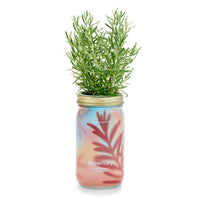 Herb Garden Jar-Modern Sprout-R3vel Threads, Women's Fashion Boutique, Located in Hudsonville, Michigan