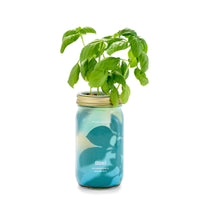 Herb Garden Jar-Modern Sprout-R3vel Threads, Women's Fashion Boutique, Located in Hudsonville, Michigan