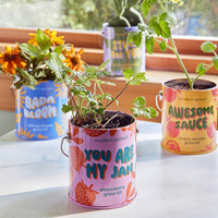 Complimentary Color Grow Kits-Modern Sprout-R3vel Threads, Women's Fashion Boutique, Located in Hudsonville, Michigan