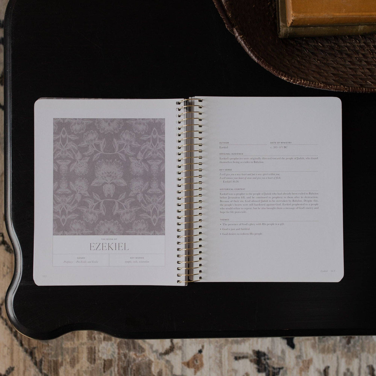 A Year in the Bible | 365 Days of Discovering the Beauty of Jesus from Genesis to Revelation | Volume 3-The Daily Grace Co-R3vel Threads, Women's Fashion Boutique, Located in Hudsonville, Michigan