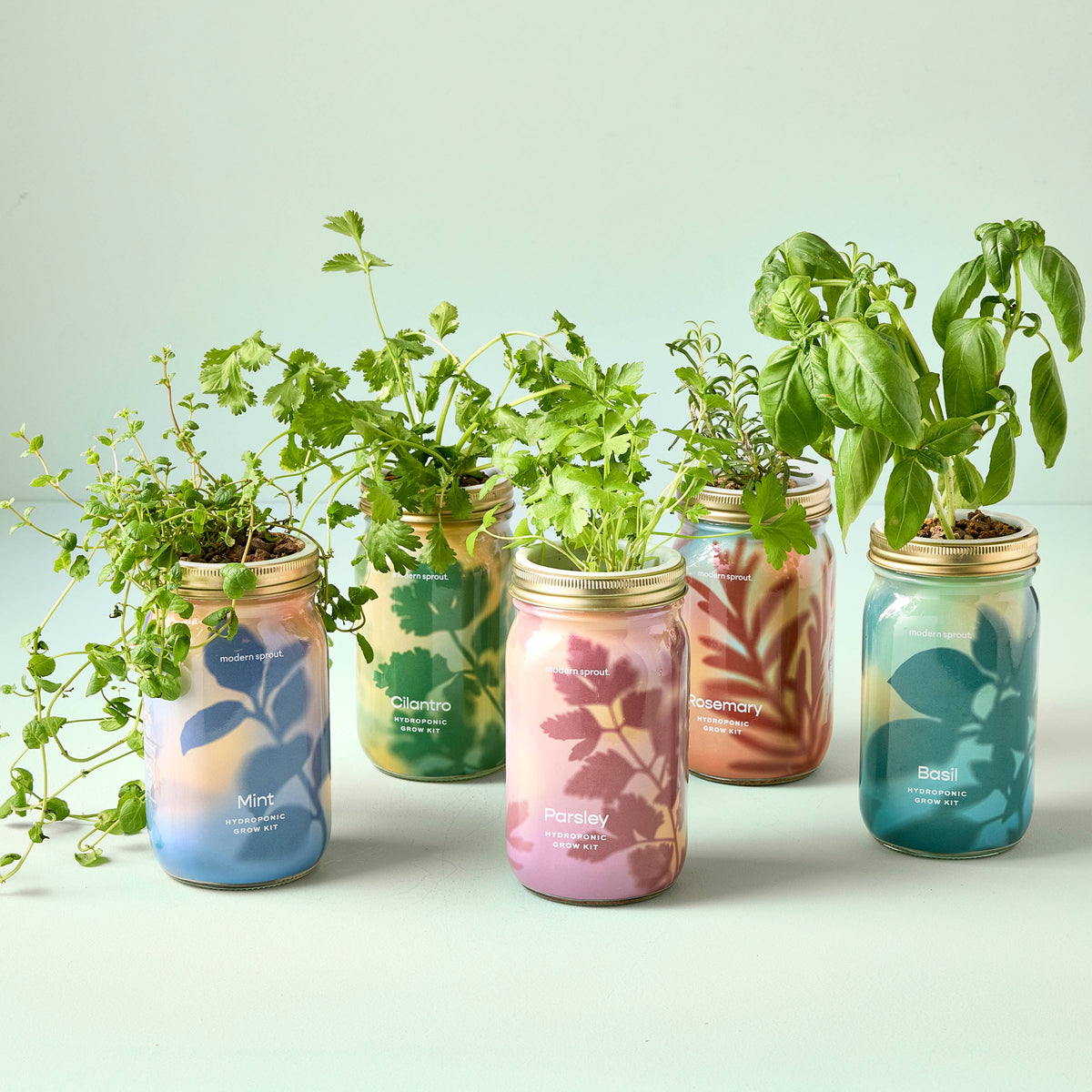 Herb Garden Jar-Modern Sprout-R3vel Threads, Women's Fashion Boutique, Located in Hudsonville, Michigan