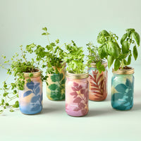 Herb Garden Jar-Modern Sprout-R3vel Threads, Women's Fashion Boutique, Located in Hudsonville, Michigan