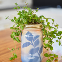 Herb Garden Jar-Modern Sprout-R3vel Threads, Women's Fashion Boutique, Located in Hudsonville, Michigan