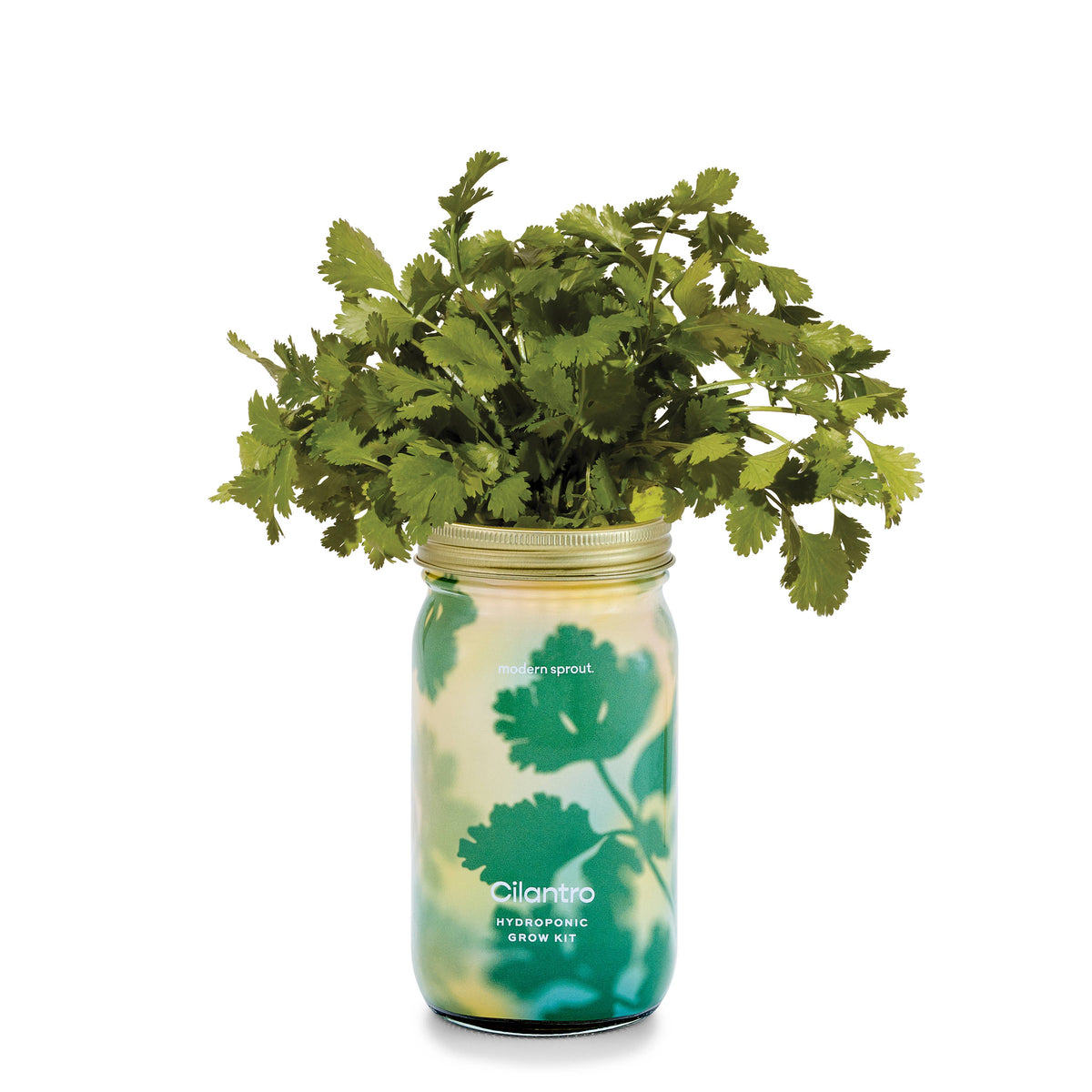 Herb Garden Jar-Modern Sprout-R3vel Threads, Women's Fashion Boutique, Located in Hudsonville, Michigan