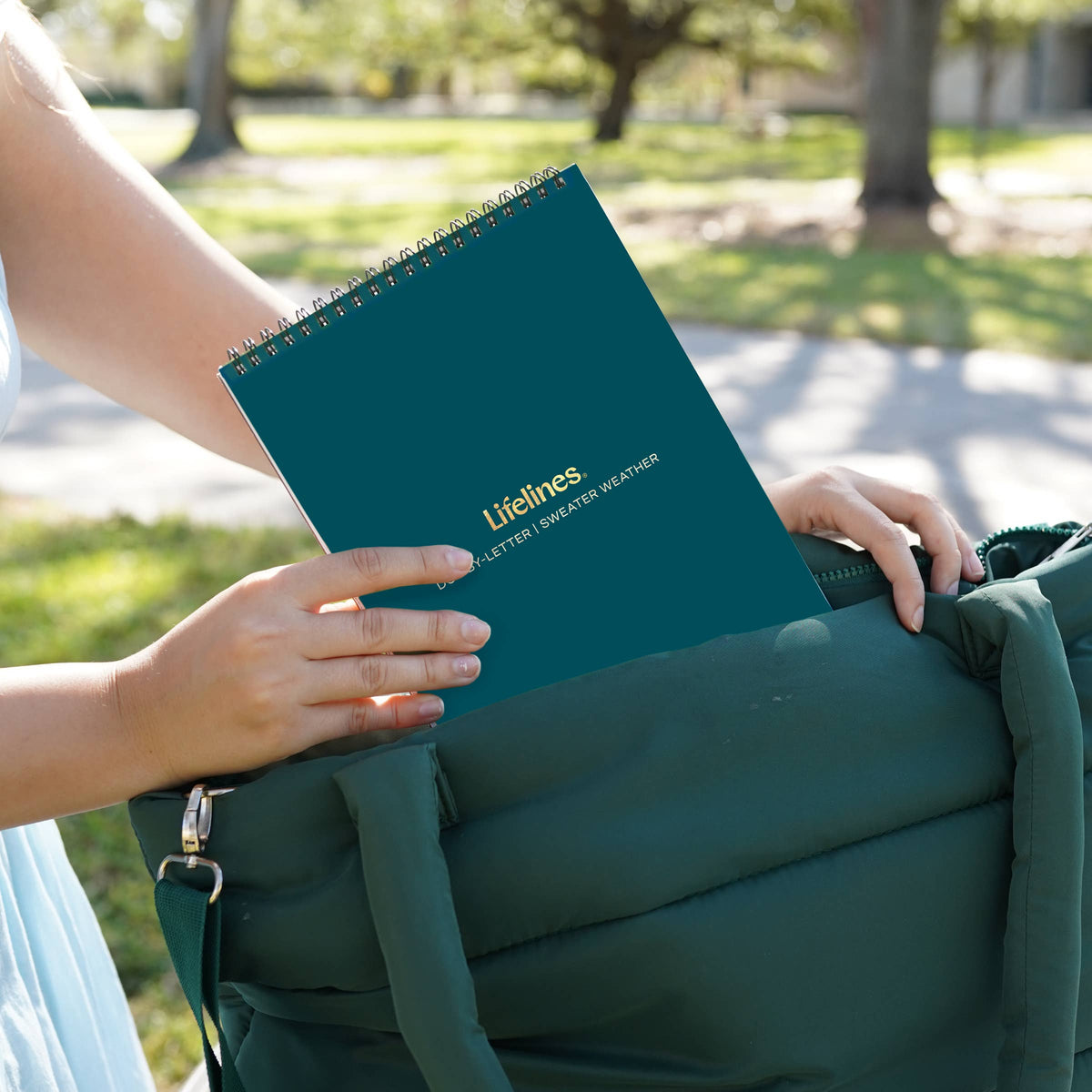 FlowArt - Trace by Line - Woodland Whimsy