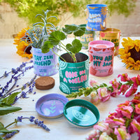 Complimentary Color Grow Kits-Modern Sprout-R3vel Threads, Women's Fashion Boutique, Located in Hudsonville, Michigan