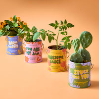 Complimentary Color Grow Kits-Modern Sprout-R3vel Threads, Women's Fashion Boutique, Located in Hudsonville, Michigan