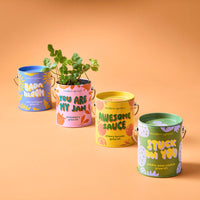 Complimentary Color Grow Kits-Modern Sprout-R3vel Threads, Women's Fashion Boutique, Located in Hudsonville, Michigan