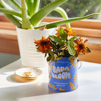 Complimentary Color Grow Kits-Modern Sprout-R3vel Threads, Women's Fashion Boutique, Located in Hudsonville, Michigan