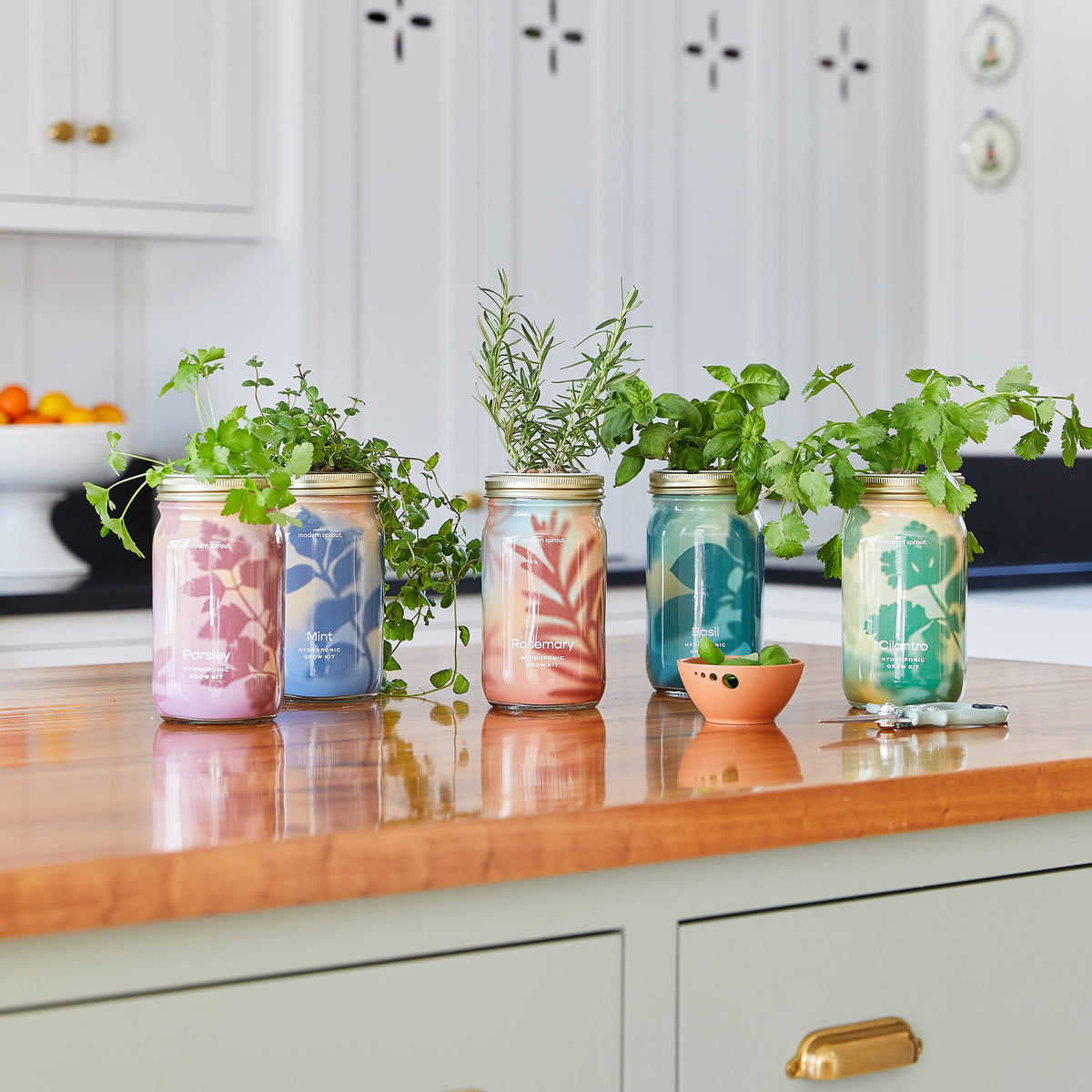 Herb Garden Jar-Modern Sprout-R3vel Threads, Women's Fashion Boutique, Located in Hudsonville, Michigan