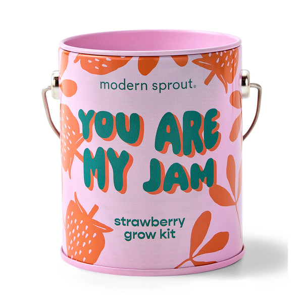 Complimentary Color Grow Kits-Modern Sprout-R3vel Threads, Women's Fashion Boutique, Located in Hudsonville, Michigan