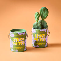 Complimentary Color Grow Kits-Modern Sprout-R3vel Threads, Women's Fashion Boutique, Located in Hudsonville, Michigan