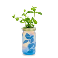 Herb Garden Jar-Modern Sprout-R3vel Threads, Women's Fashion Boutique, Located in Hudsonville, Michigan