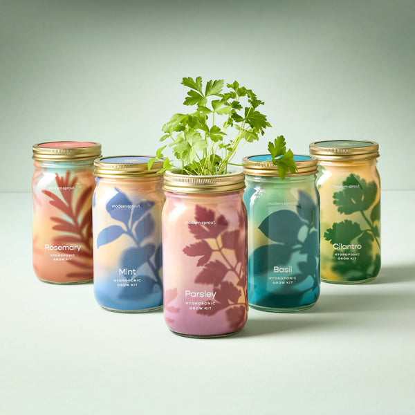 Herb Garden Jar-Modern Sprout-R3vel Threads, Women's Fashion Boutique, Located in Hudsonville, Michigan