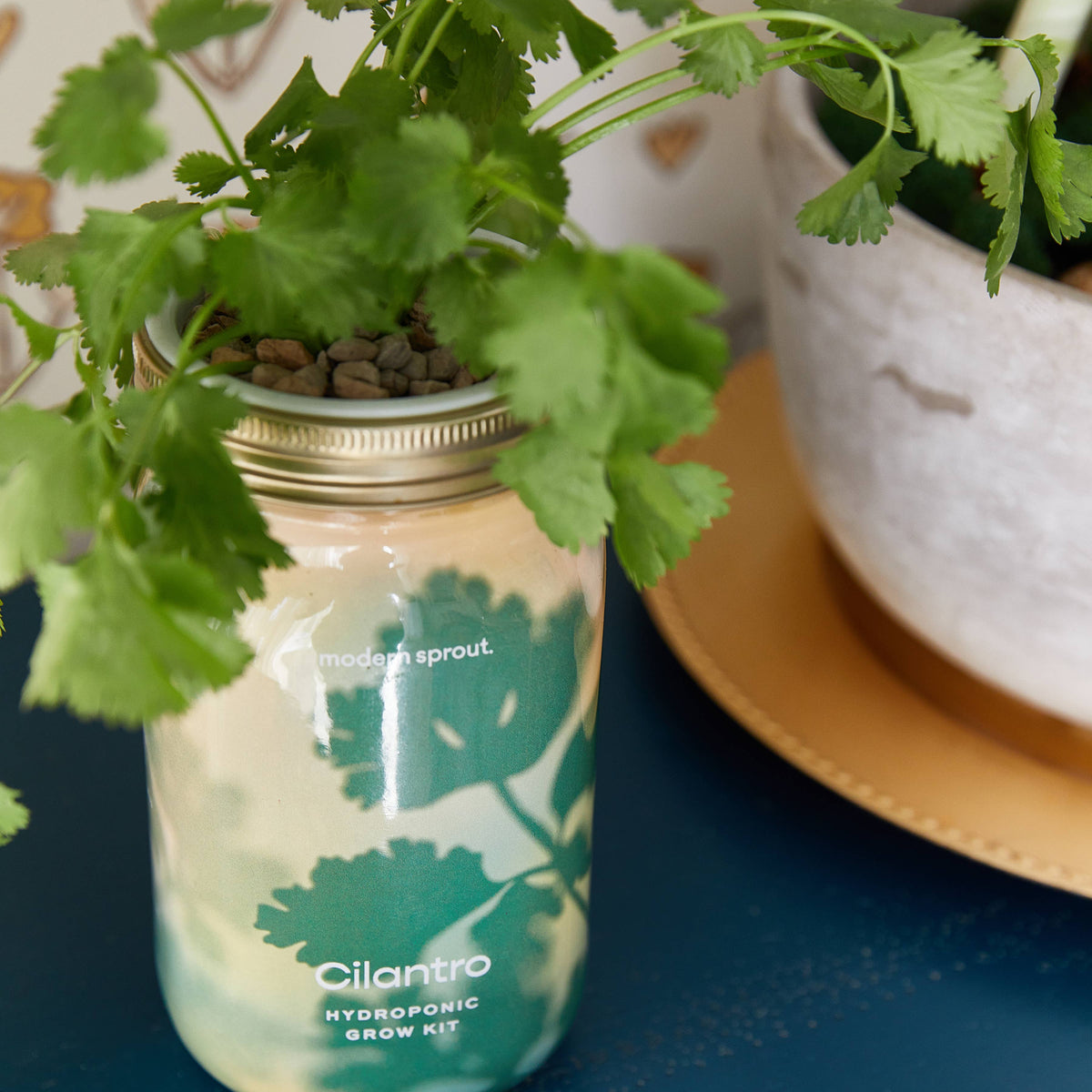 Herb Garden Jar-Modern Sprout-R3vel Threads, Women's Fashion Boutique, Located in Hudsonville, Michigan